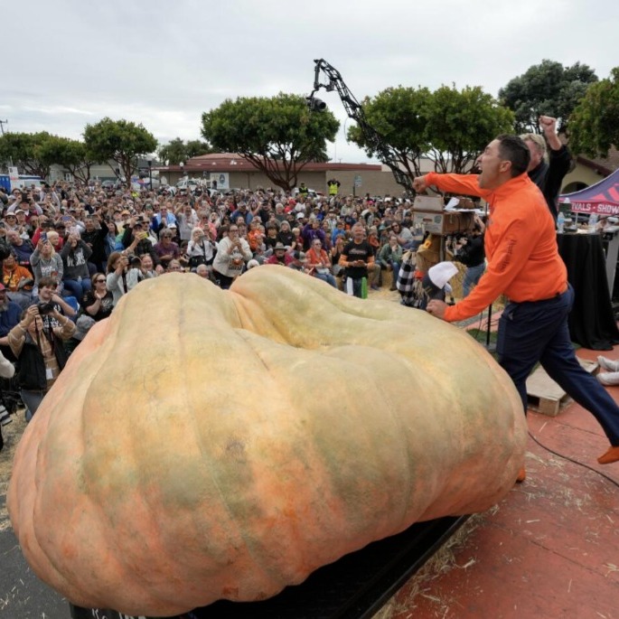 world record pumpkin