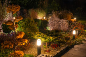 Night garden path lit by glowing bollard lights amid tall grasses and shrubs.